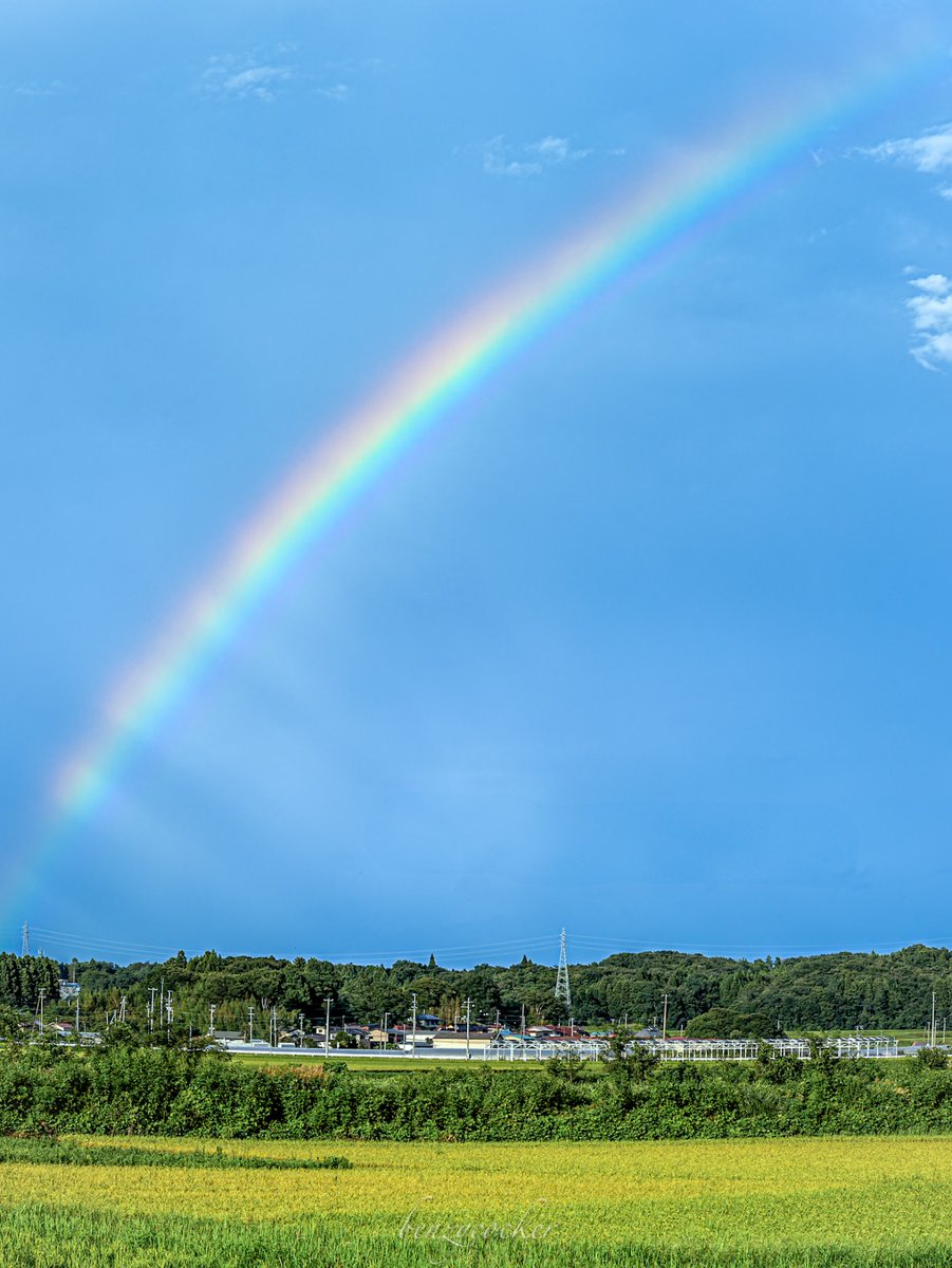 七色の風が降りてきた夏の午後