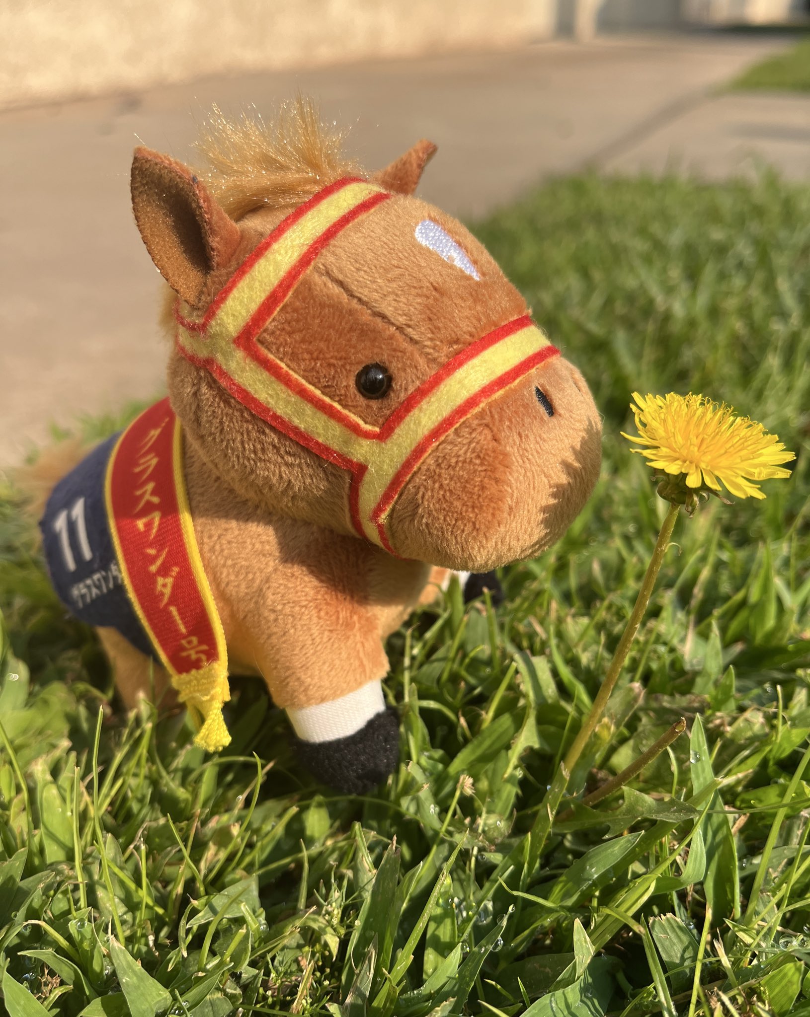 【競馬】　グラスワンダー　当選品　スペシャルカード　045of100　当選通知付 競馬】 グラスワンダー 当選品 スペシャルカード 045of100 当選