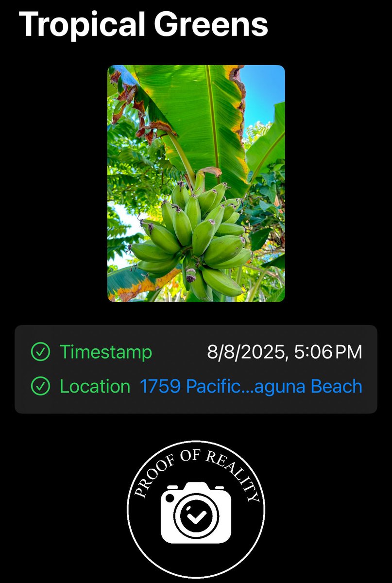 GM - we live in the age of verification ⁦<a href="/photosonchain/">Real Photos</a>⁩