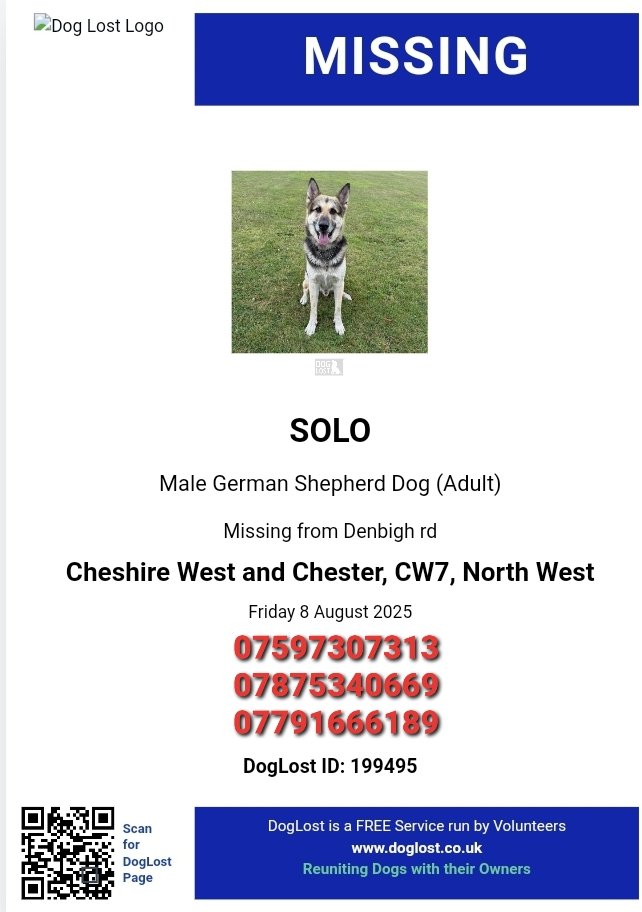 MissingPetsGB's tweet image. 🐕 #lostdog SOLO was spooked while with his minder &amp;amp; ran off in Winsford, Cheshire West and Chester #CW7 on 8 August 2025
He’s scared, probably tired now. Last seen around the by the police station on Oakmere Road. He is chipped.
Please call if sighted.🙏