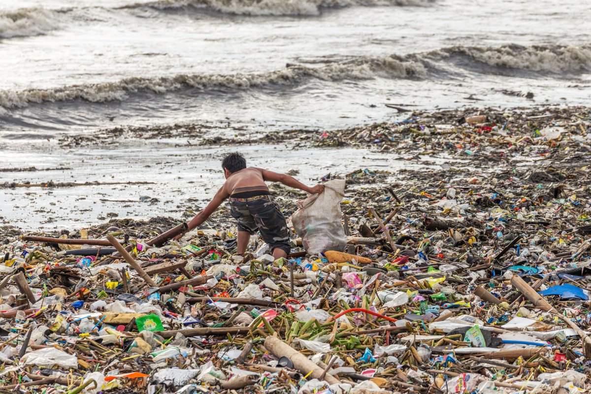Gardening a #CircularEconomy in #Vietnam and the #Philippines
unstuck.systems/gardening-a-ci…