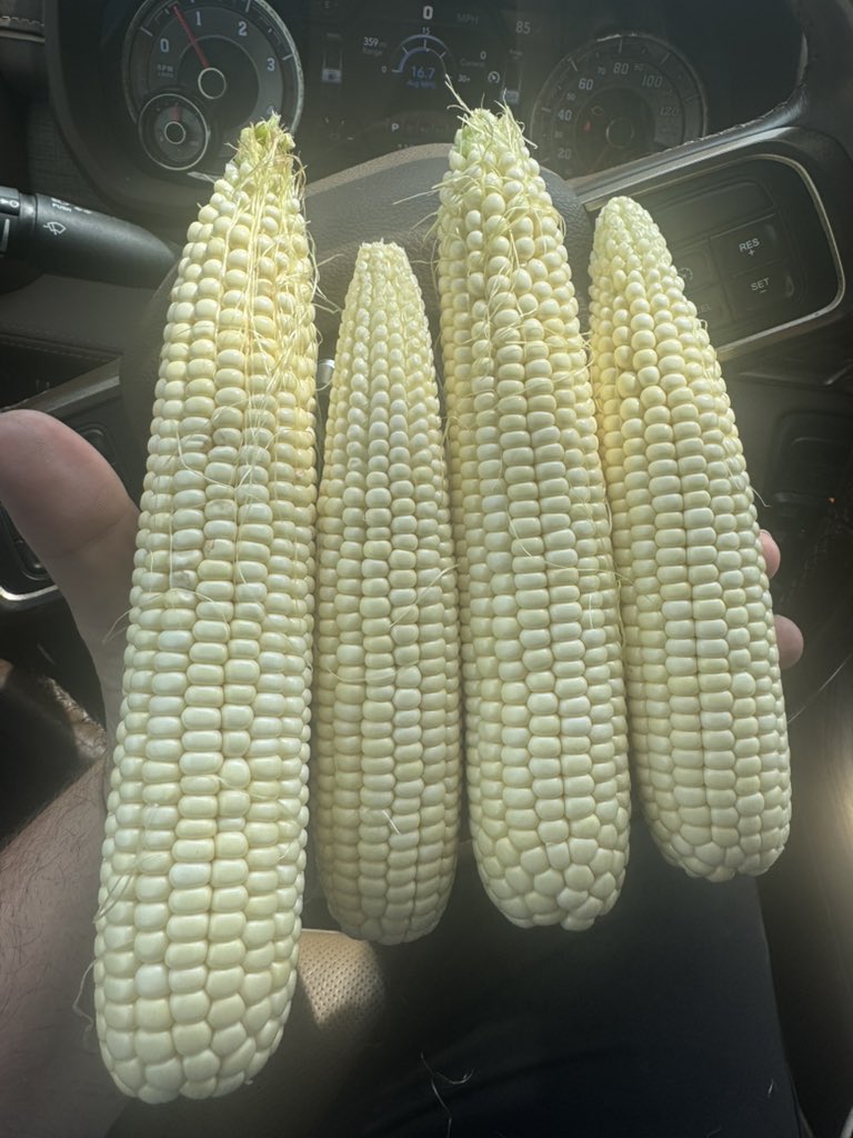 Matt Swanson tweet media