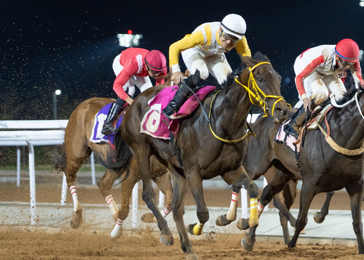JockeyClub_SA's tweet photo. نتيجة الشوط الـ 8 الحفل ( 6 ) 

◻️الفائز : شامخة طويق
◻️المالك : الأمير سيف الدين بن سعود بن عبدالعزيز 
◻️المدرب : فهد مسلط
◻️الخيال : اسامه الشهراني
◻️المسافة : 1400م

#نادي_سباقات_الخيل🐎
#موسم_سباقات_الطائـف https://t.co/fd7sIuR1ED