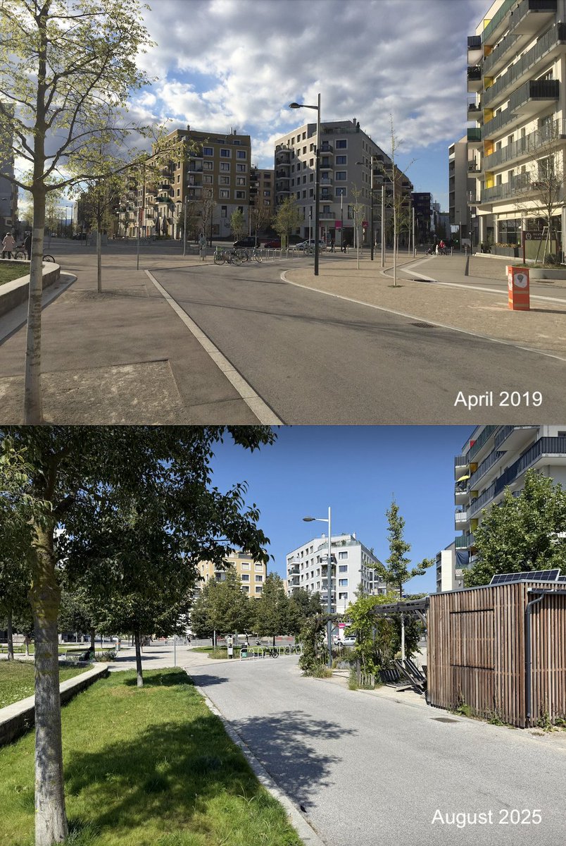 Vergleichsbild Seestadt, Hannah-Arendt-Platz, 2019 vs. 2025. 

Da hat sich deutlich was getan, Fehler aus der Anfangszeit wurden korrigiert 🙏 Nicht zuletzt aufgrund des beeindruckenden Engagements des Vereins SeeStadtgrün 🤩