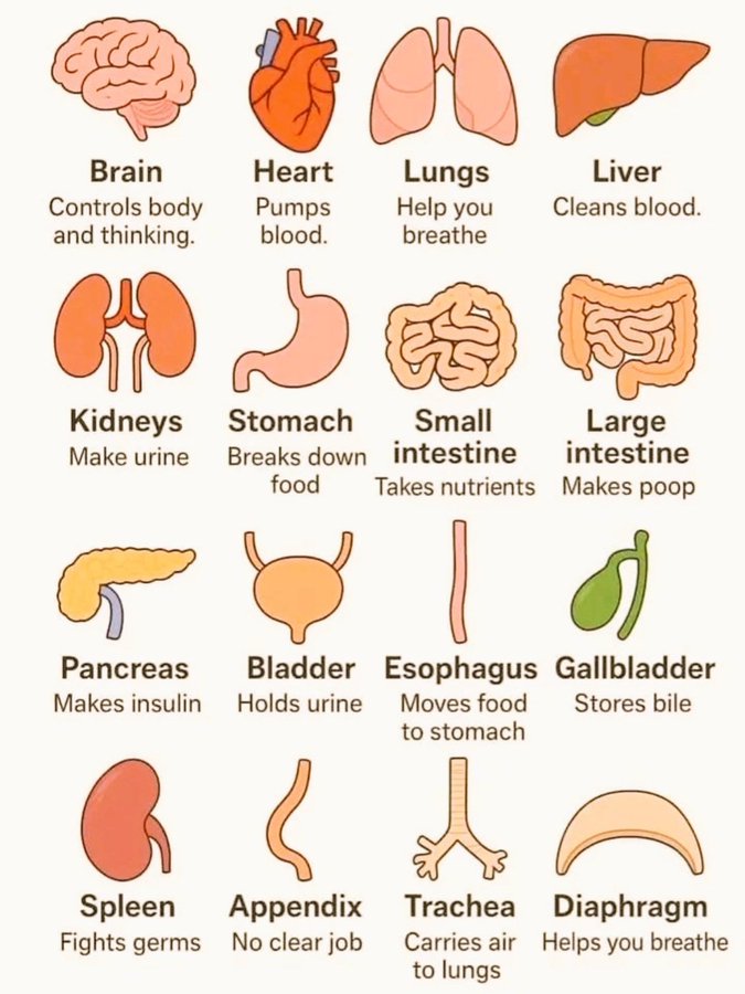 TravelFoodiesTV's tweet image. Treat Your Body with #Love 
It works hard for You! 
#biohacker