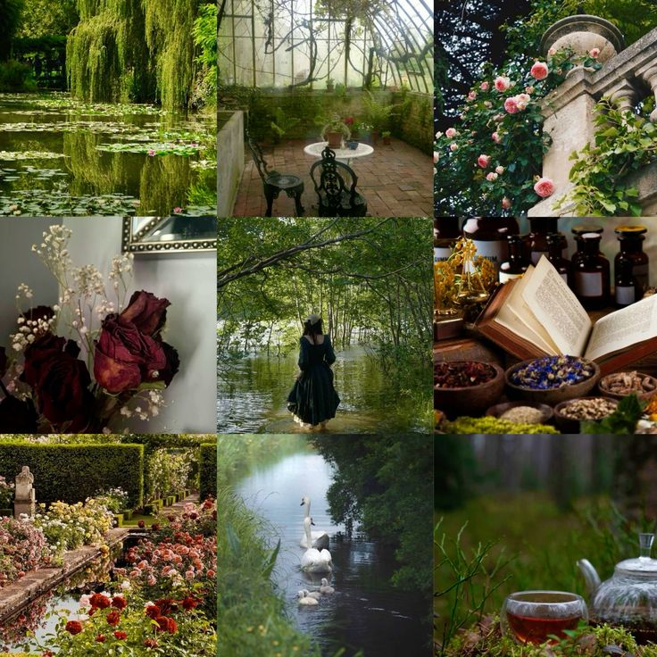 suzanne albanis (author!) 🌱🪲 tweet media