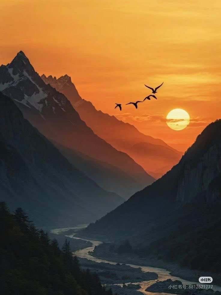 🧡✨🕊️🕊️Mutlu akşamlar 🕊️🕊️✨🧡

#SaturdayVibes