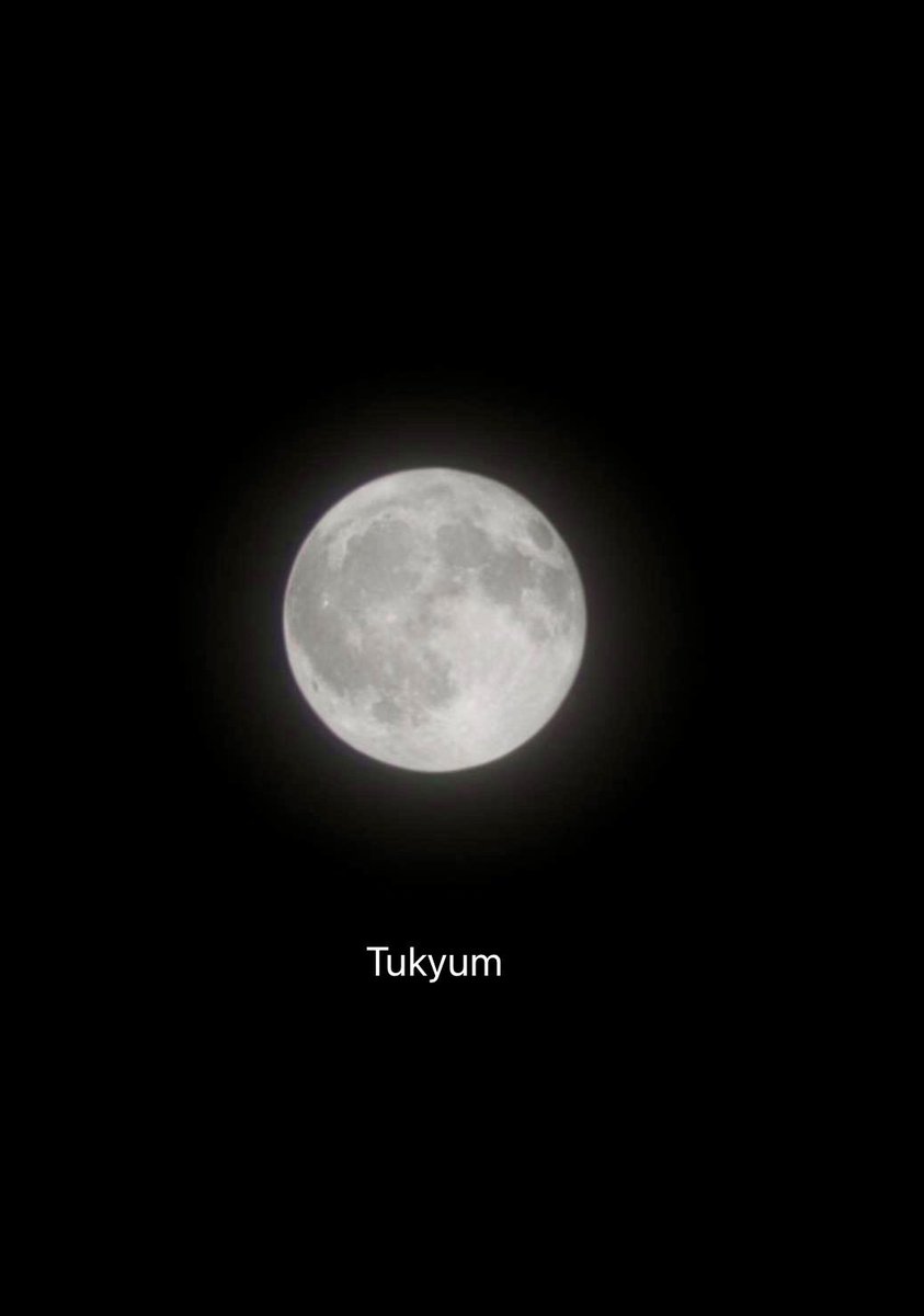 TukWass's tweet image. แม่ยุ่งจนเพิ่งเห็นว่าลูกให้ถ่ายพระจันทร์ส่งให้ดู รีบออกไปถ่ายเลย ได้มาแค่นี้ ดึกแล้วตาแม่พล่ามัวมาก แต่เพื่อน้องคยอม แม่ทำได้เสมอ ส่งการบ้านแล้วนะครับคนเก่ง 

พระจันทร์นี้เพื่อน้องคยอมครับ 🌕🫶🌼💛

#SupermoonForYugyeom 
#YUGYEOM #유겸 @yugyeom