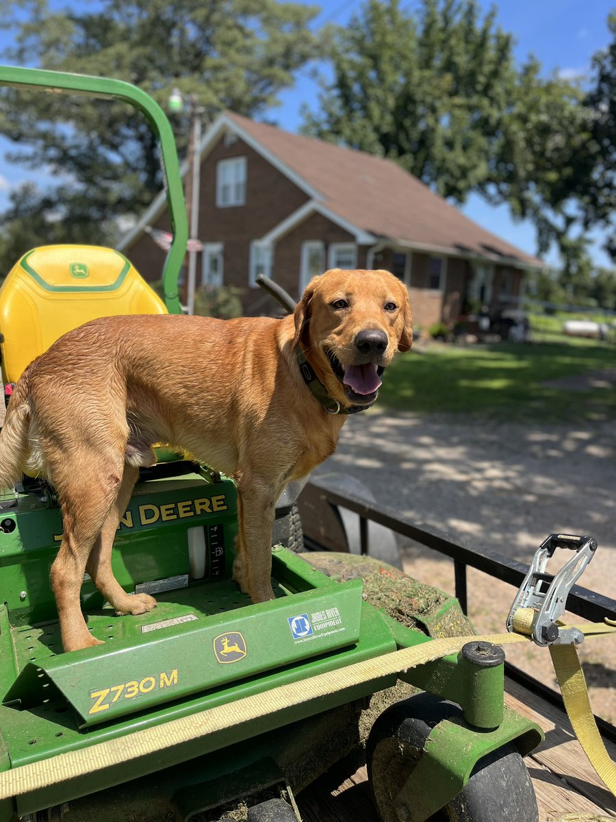 Saturday morning fun…11,000 steps with a weedeater and an assistant when you get back home!