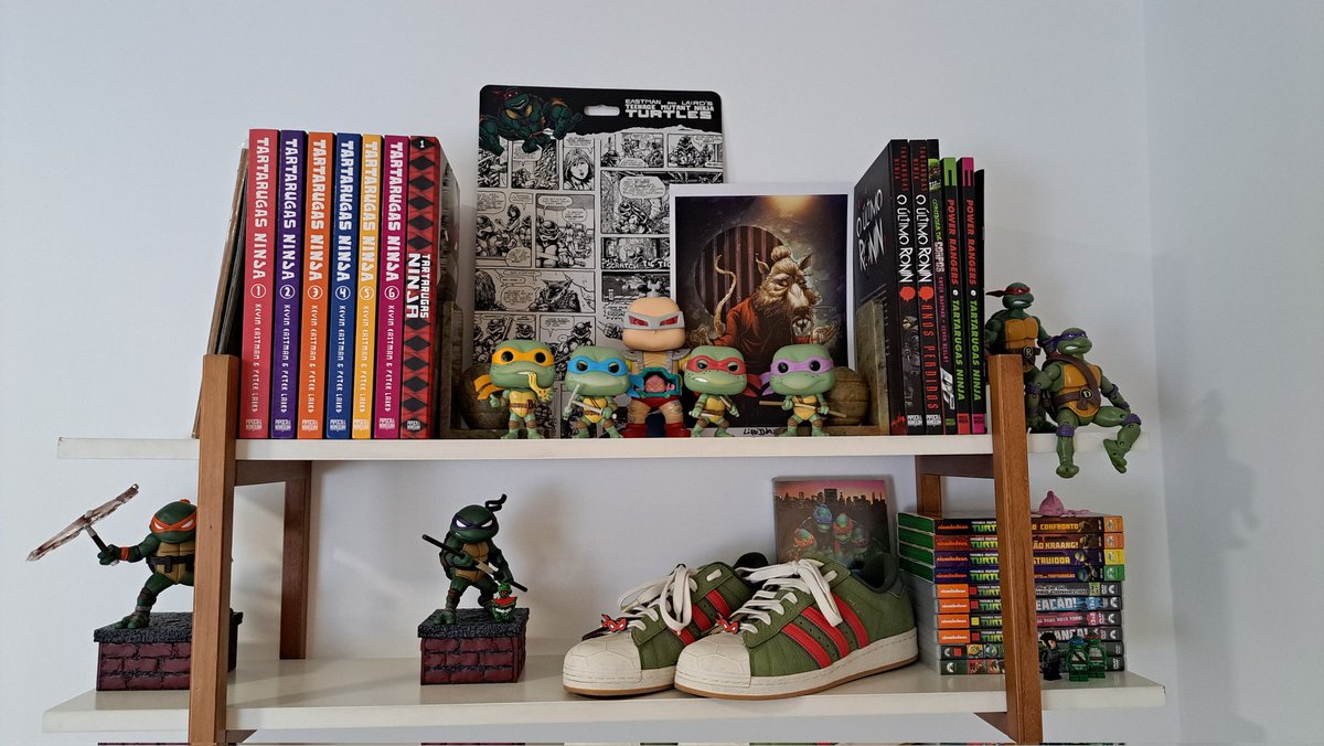 Mexendo no cantinho tartaruga...