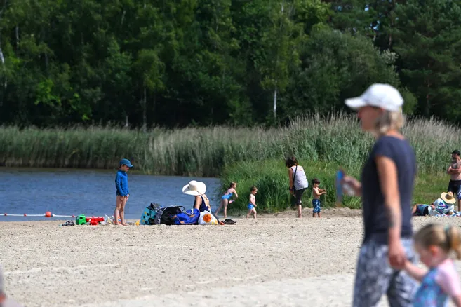 La baignade à l’étang de la Vallée, à Combreux, de nouveau interdite en raison de cyanobactéries larep.fr/combreux-45530…