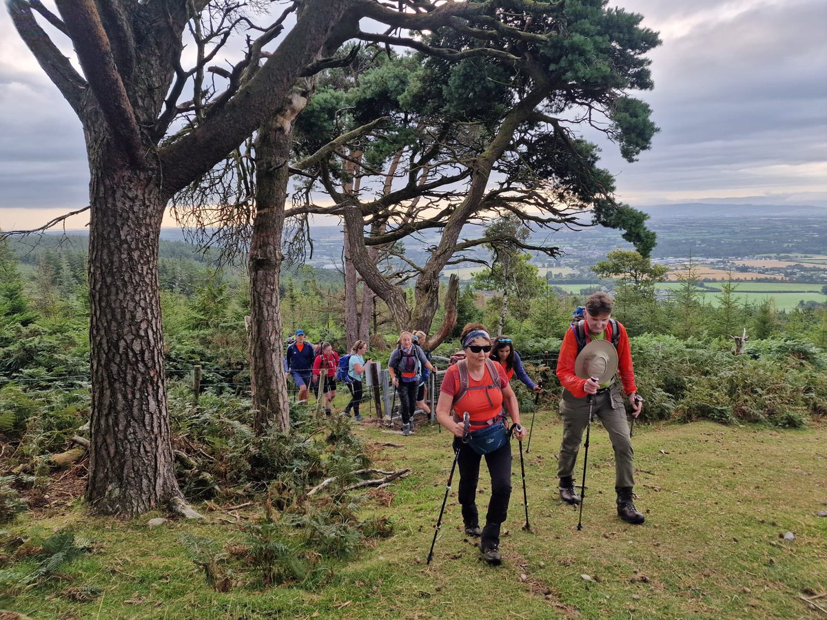 Fei Sheehy Hillwalking Challenge tweet media