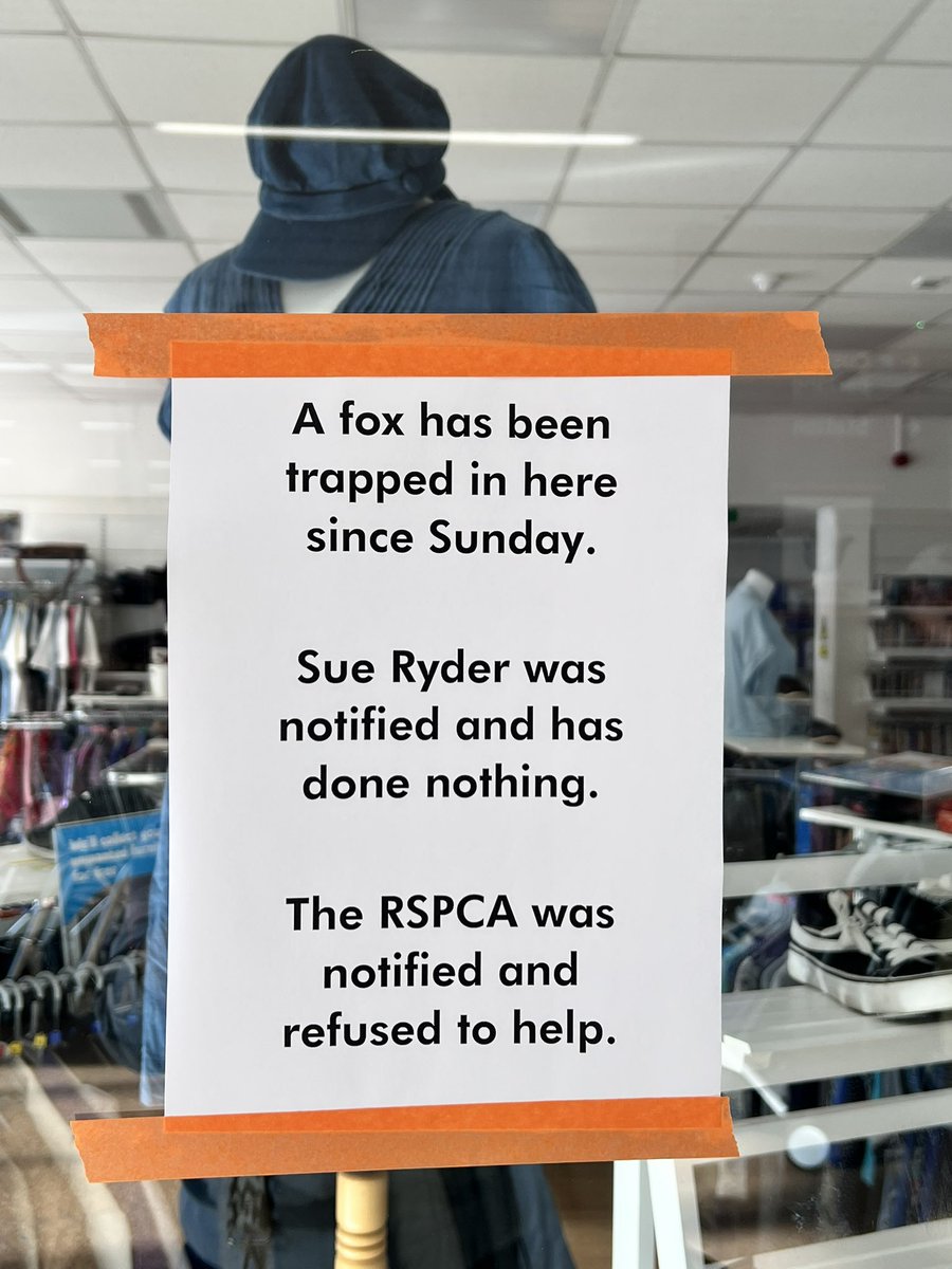 Captainredhead tweet media