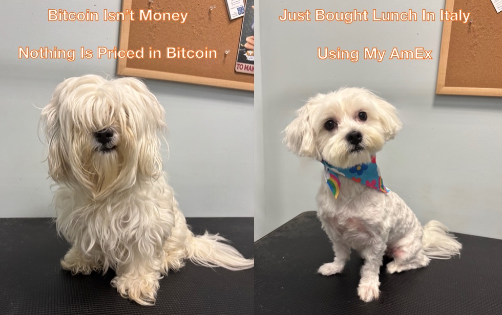 PiPrimePi's tweet image. Whenever I hear: 

"But nothing is priced in Bitcoin"  -  I think of this