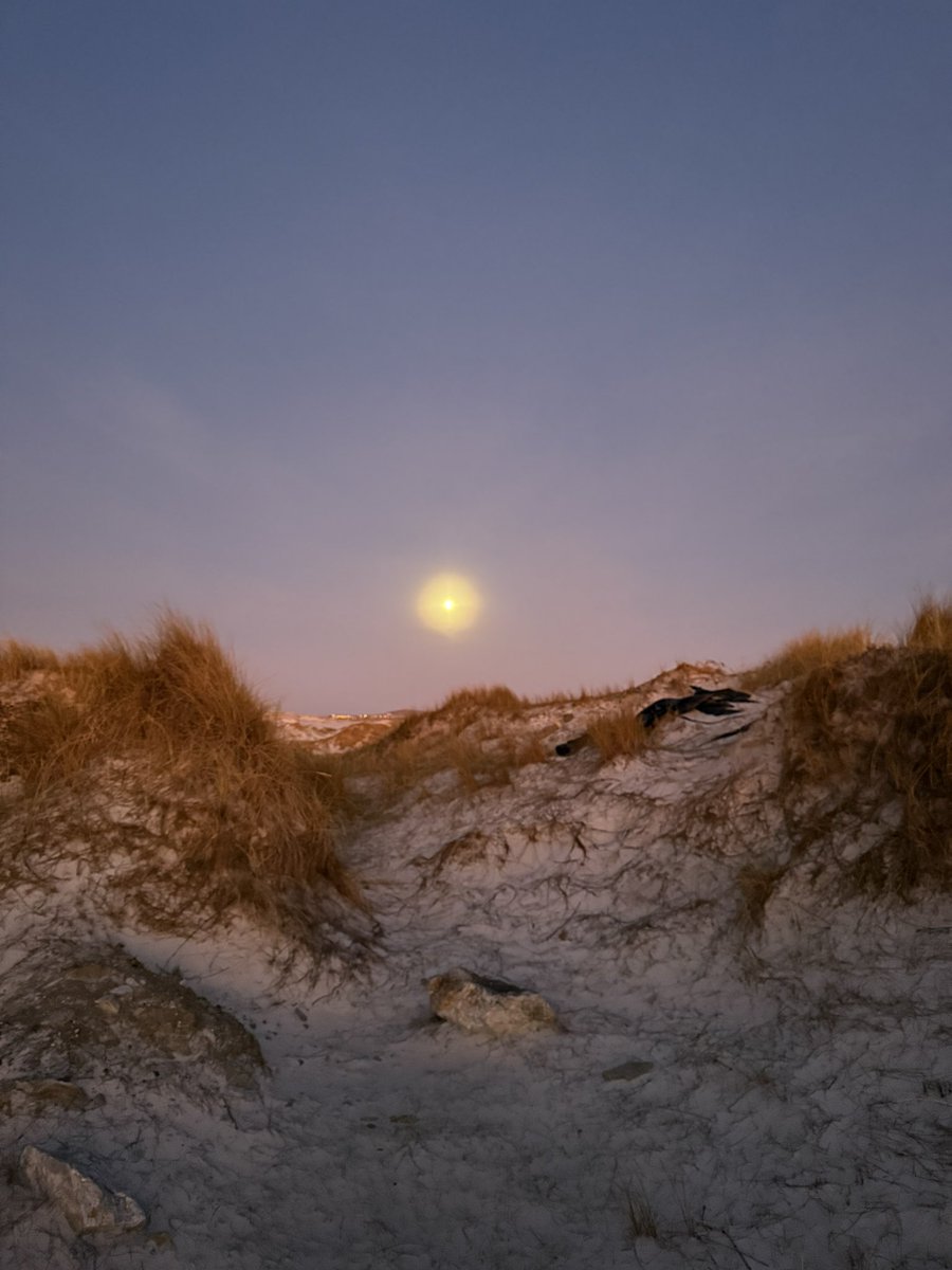 Colin Martin-Reynolds CMG tweet media