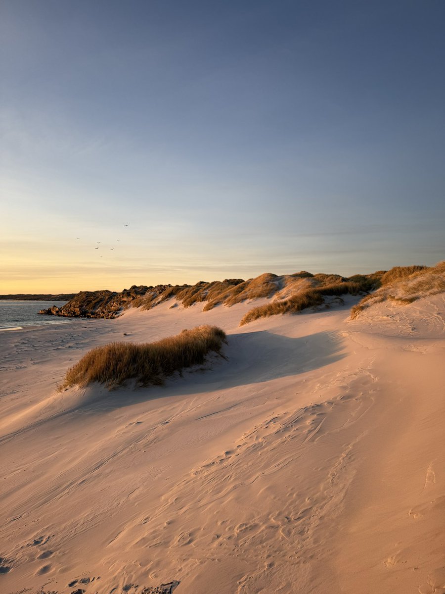 Colin Martin-Reynolds CMG tweet media