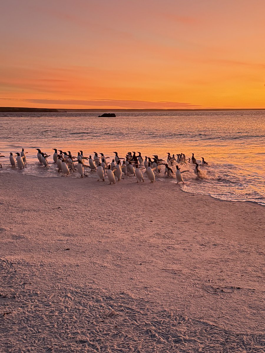 Colin Martin-Reynolds CMG tweet media