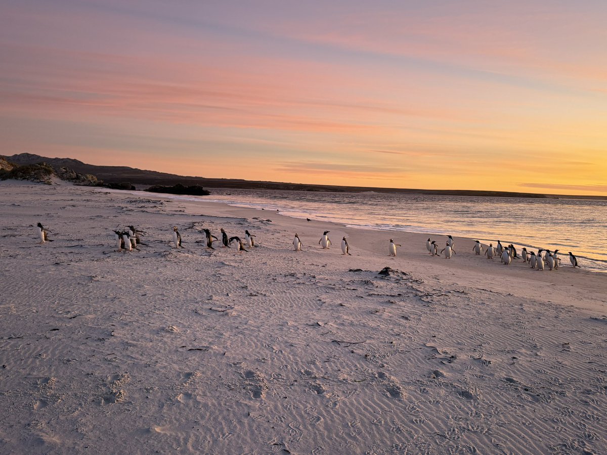 Colin Martin-Reynolds CMG tweet media