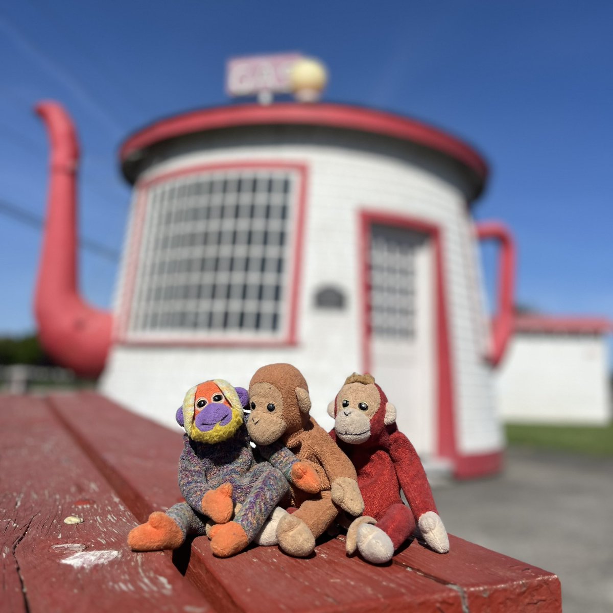 Becca Peter tweet media