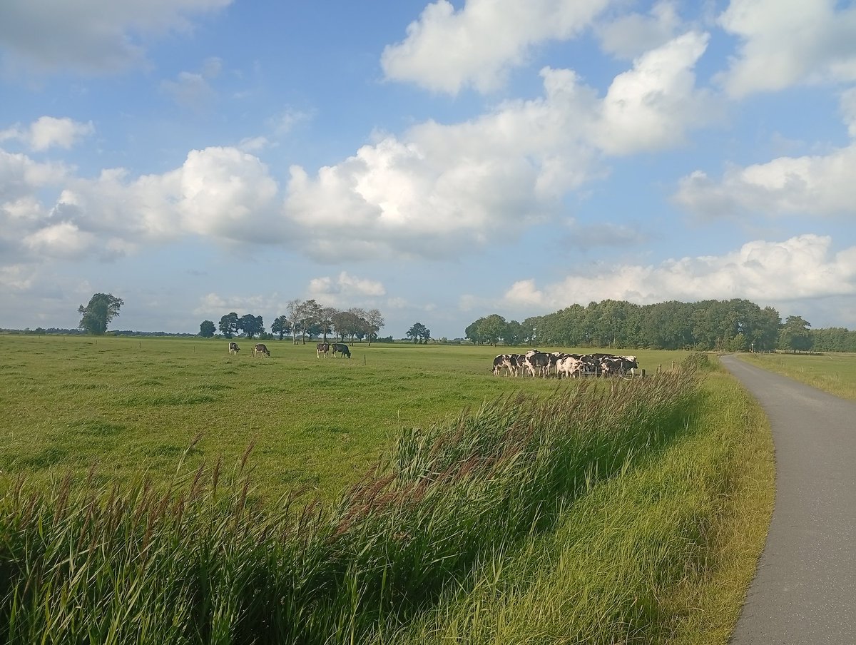 An de struun 🥾😎