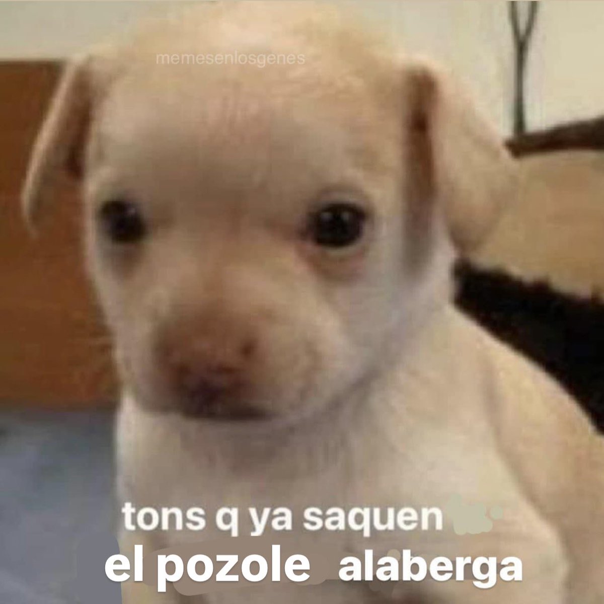 memesenlosgenes's tweet photo. https://t.co/NJGbdVzeGD