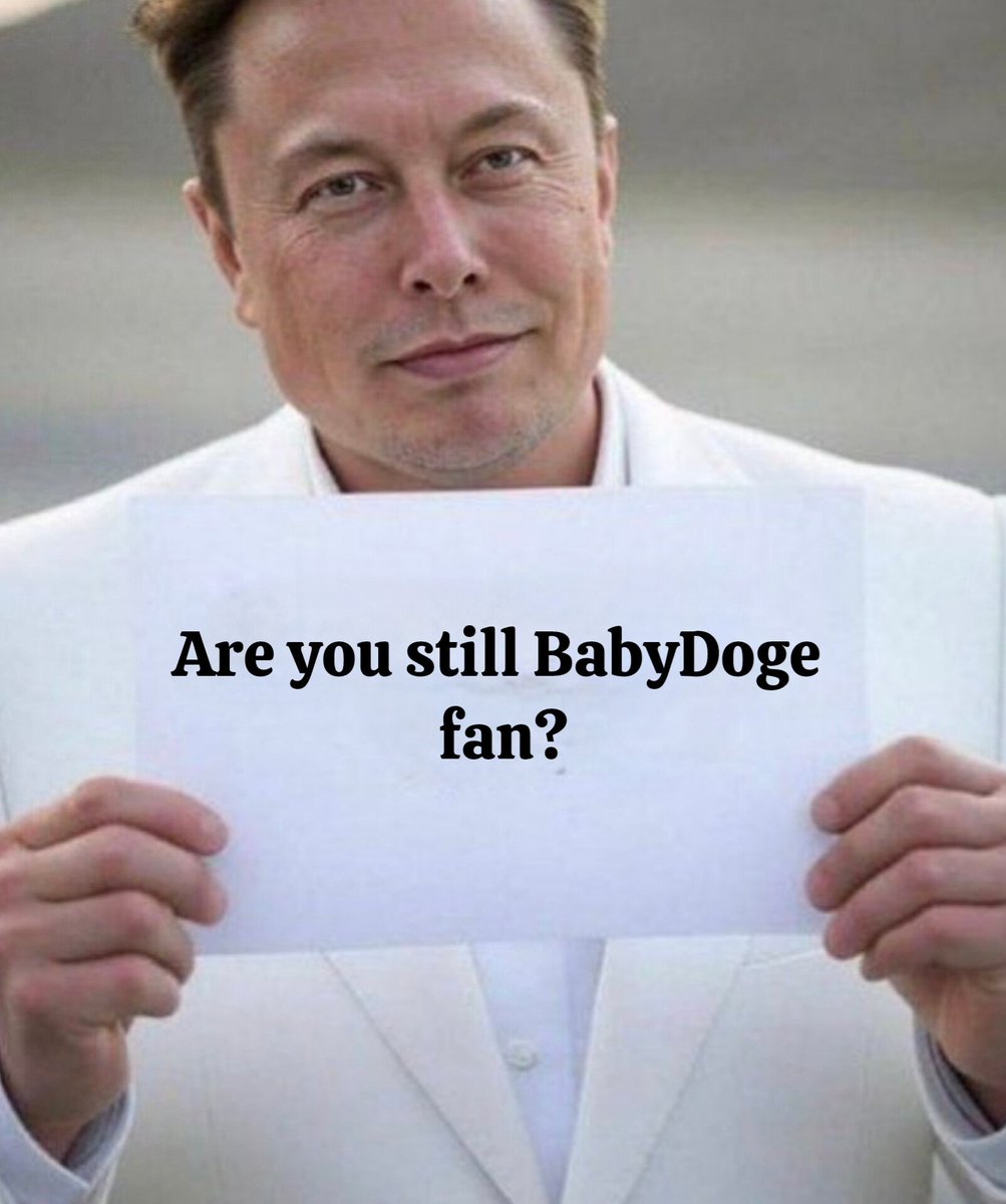 BabyDogehub tweet media