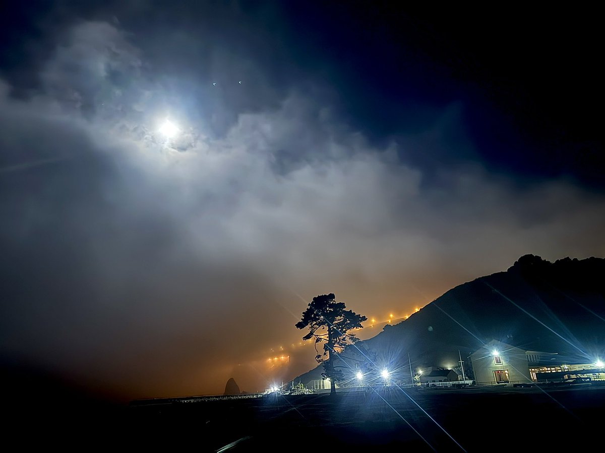 Falling in love with my home one sleepless night at a time.