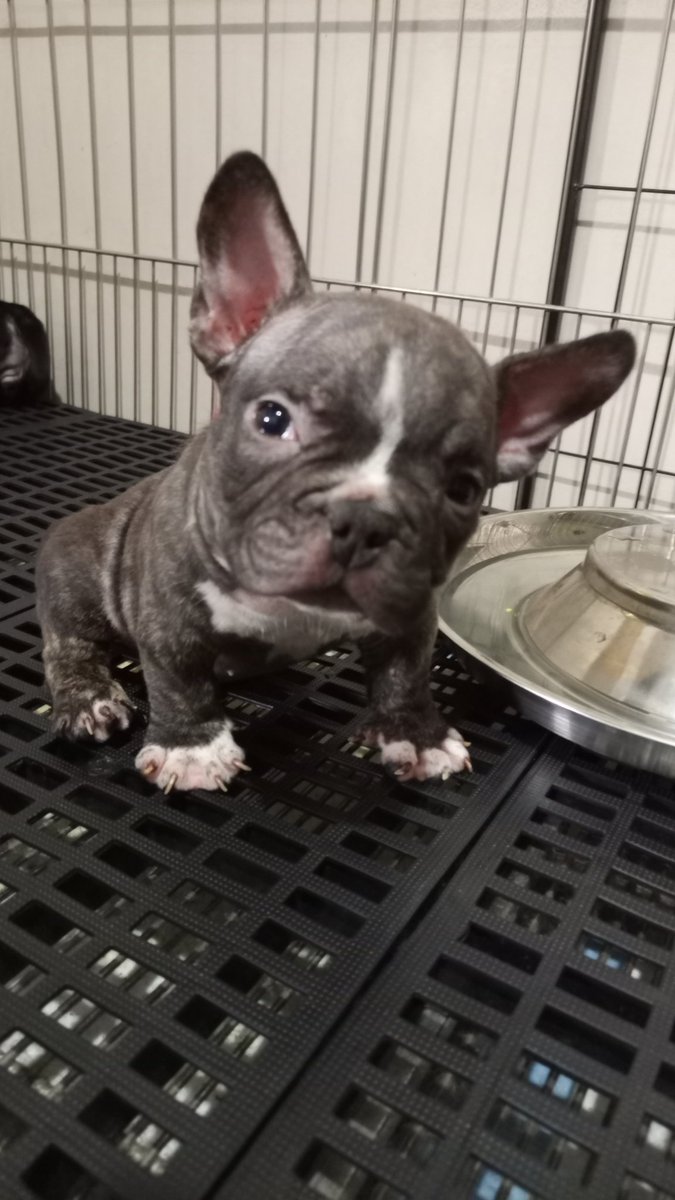 Gonna miss this goofy face 🥹