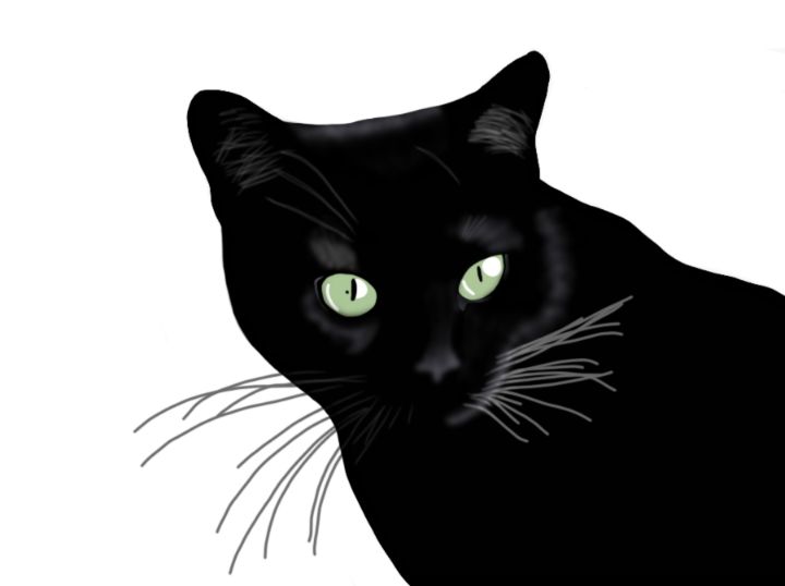 BatBratsDesigns's tweet photo. Art of the Day: "Black Cat - Digital Painting". Buy at: https://t.co/YvehSsWblu https://t.co/rPS9RlLfZx