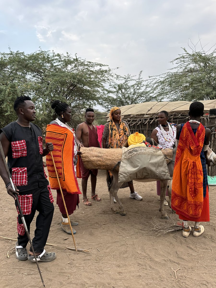 Loading our donkeys, ready for our KENYA- BRAZIL walk for #COP30 because we refuse to remain silent &amp; get excluded each and every time!! 

Support us here: gofund.me/83b0dfb5