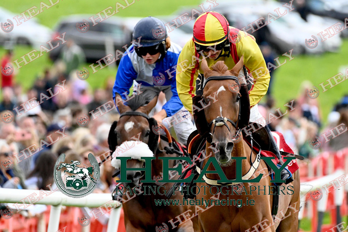 WJHJT's tweet photo. A treble for Nina Doherty @DingleRaces on Saturday See all the action in the Gallery at https://t.co/WVGit3x911 https://t.co/2UnyGSwZao