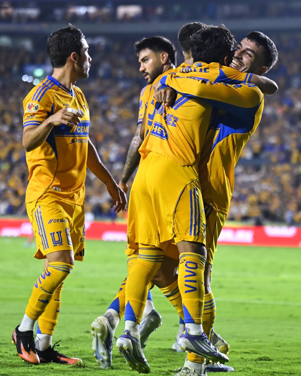 🔥¡Somos los Tigres y vamos por todo!🔥