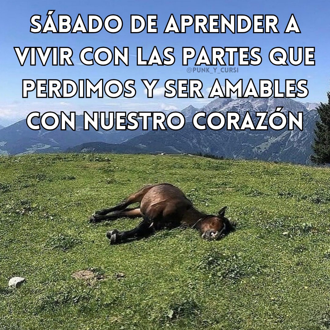 😶‍🌫️😶‍🌫️😶‍🌫️😶‍🌫️