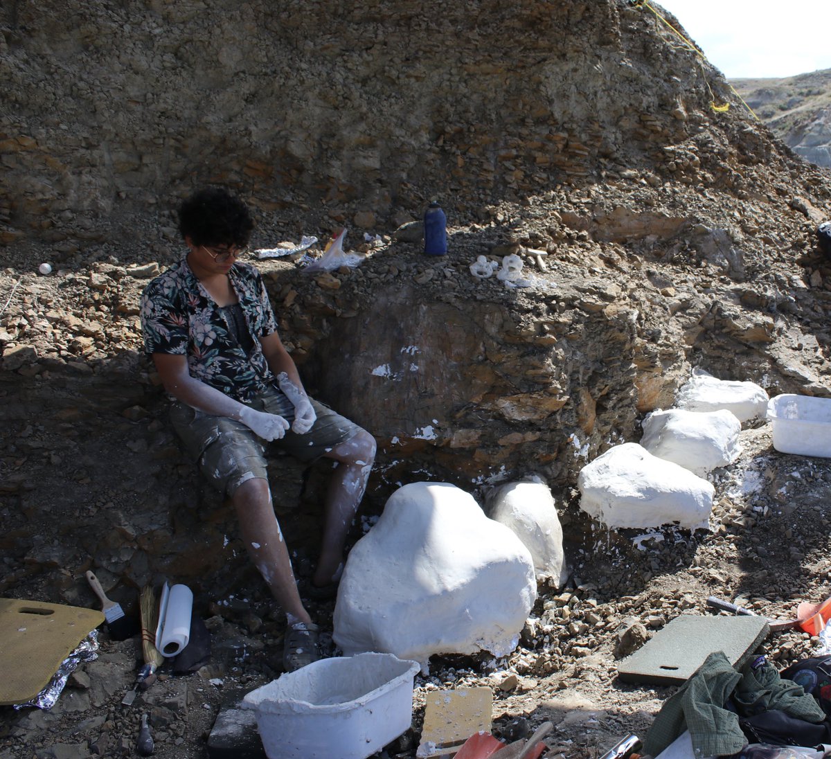End of Day - Jackets Done and Dusted

COB 2025 - Badlands Dinosaur Museum

From BLM Land - MT

Photo by Jorge de la Cruz (<a href="/TheRedRaptor65/">TheRedRaptor</a>)

Quarry managed by: Steve Clawson and Deanna Neff