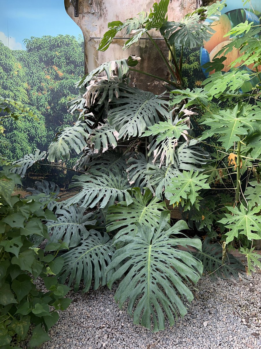 오늘 간 식물원에서 본 멋진것들~