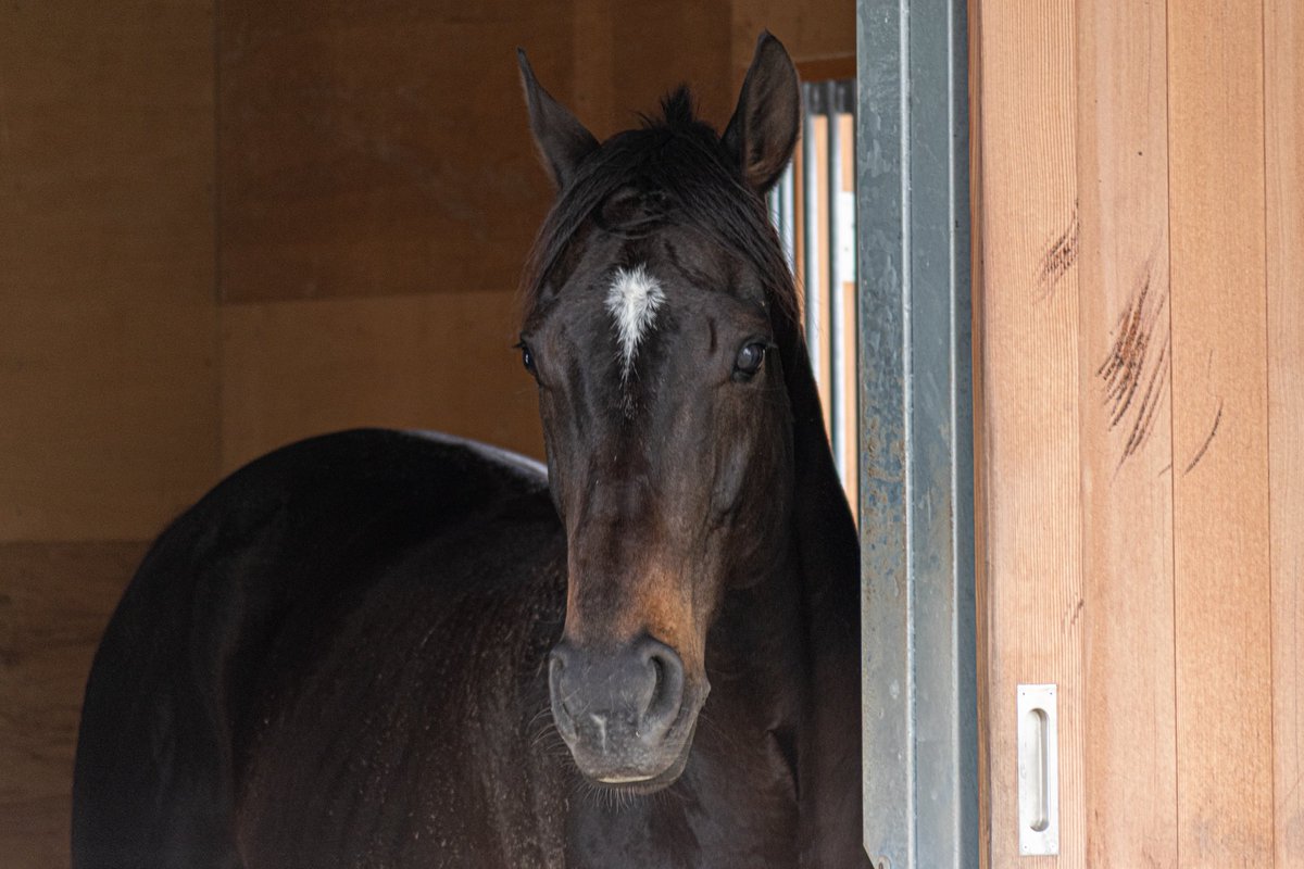 ご縁がありますように🙏