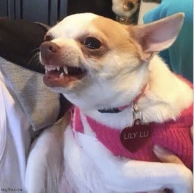 Ninel cuando Facundo tiró a Aldo /// Ninel cuando alguien dijo “quitate” 
#LaCasaDeLosFamososMx #LaCasaDeLosFamosososMx3 #LCDLFMX3