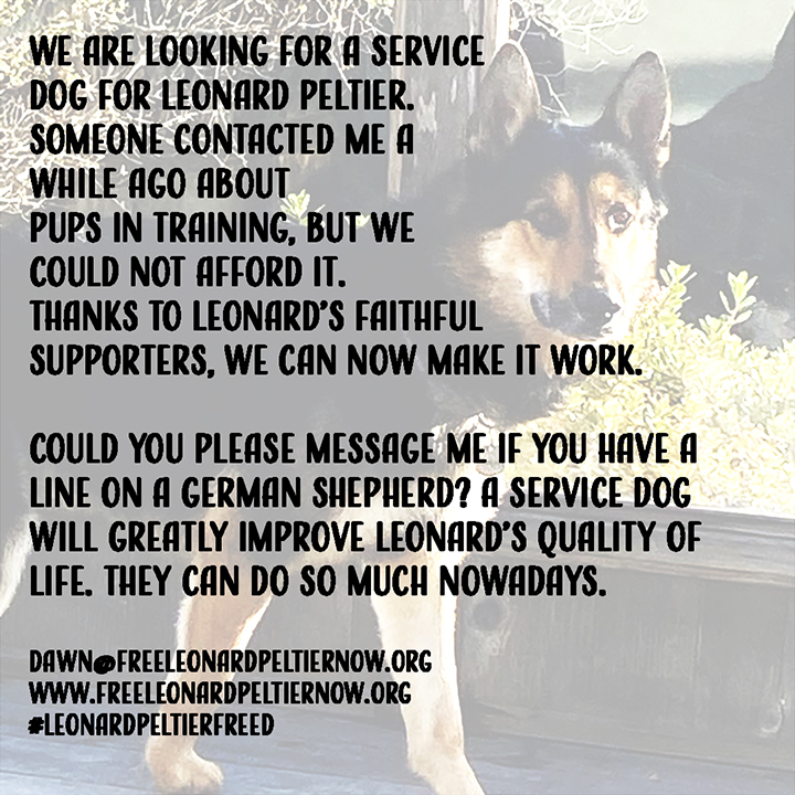 We are looking for a service dog for Leonard Peltier. Someone contacted me a while ago about pups in training, but we could not afford it. Thanks to Leonard’s faithful supporters, we can now make it work. PLEASE SHARE.
Please message me (AGAIN) if you have a line on a German