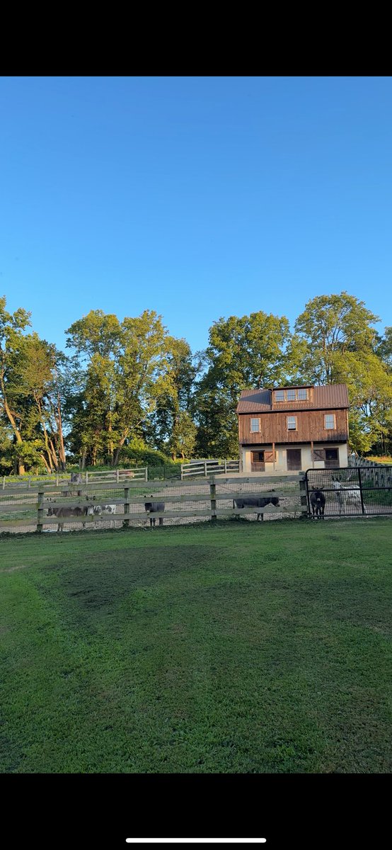 addison fatta tweet media