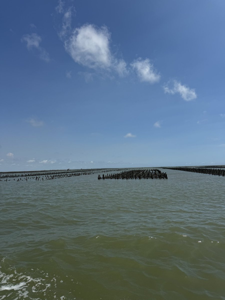 soft_1009 tweet media