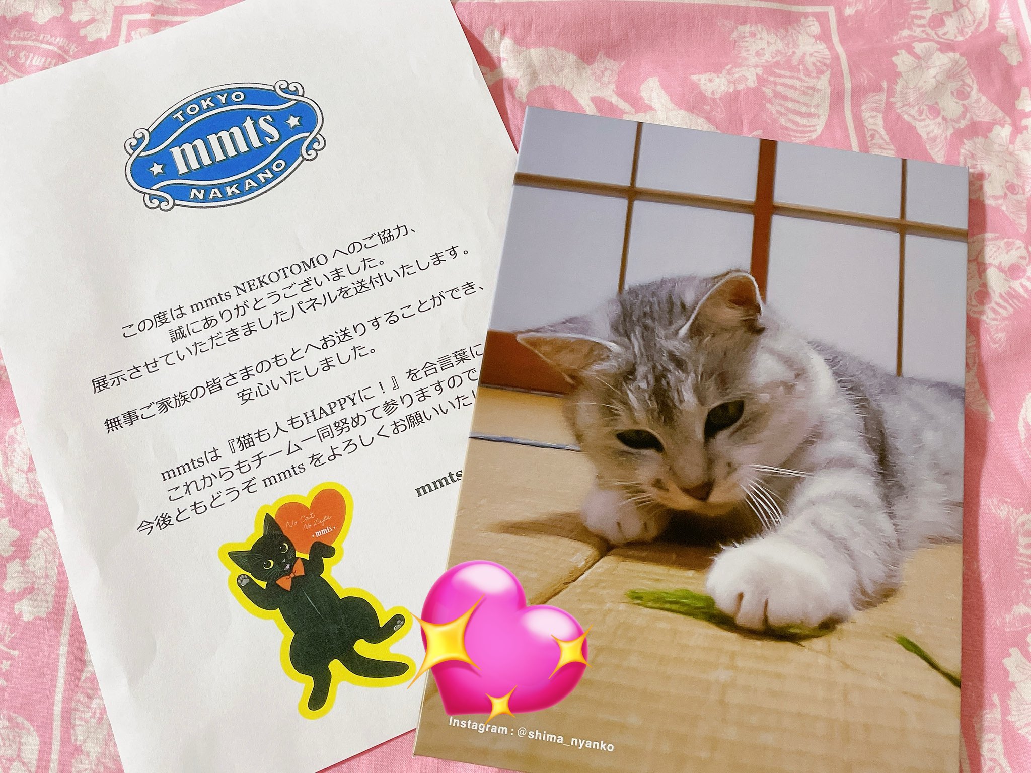 ねこちゃん様❤専用 しまにゃんこ🐈🌙⭐️ on X: 