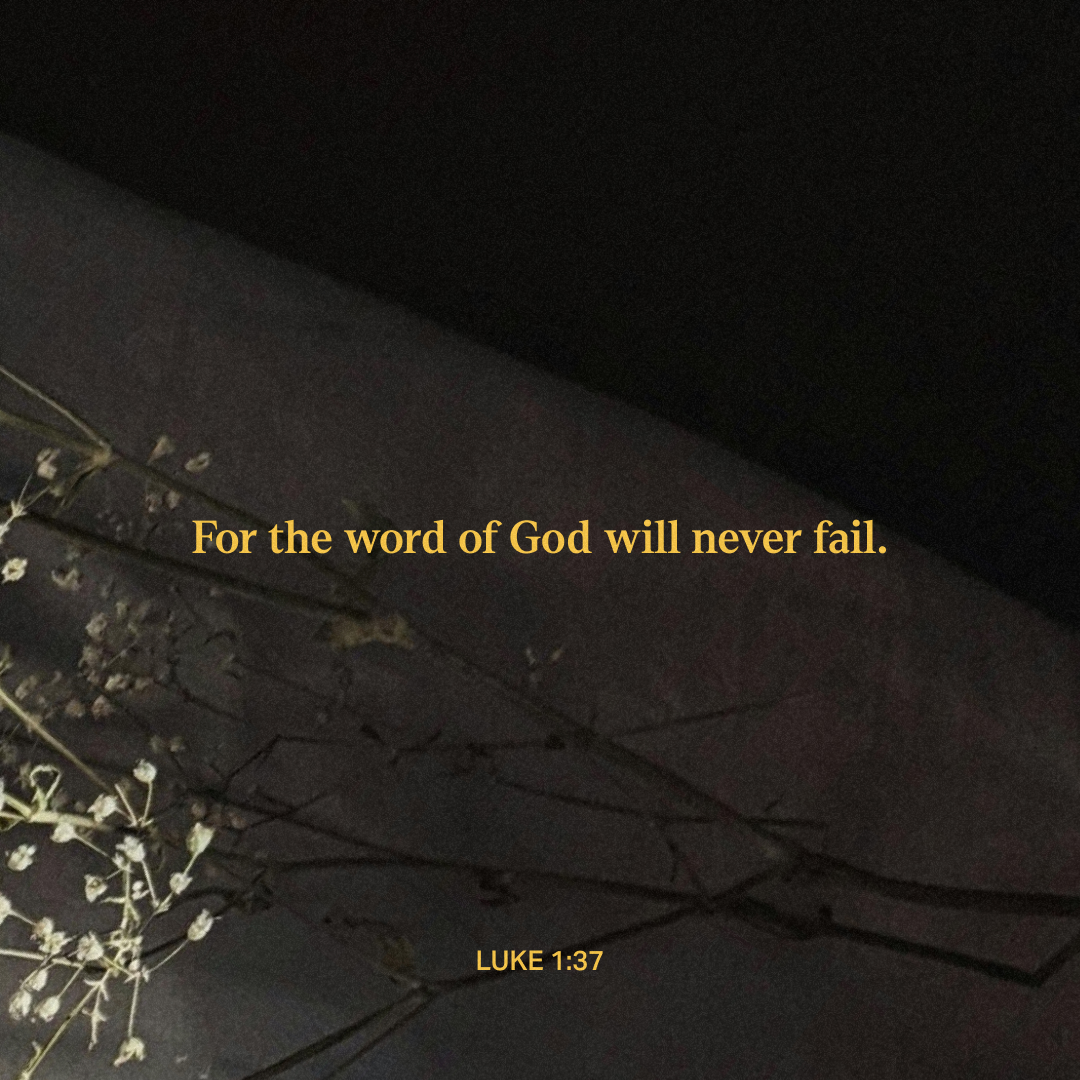 YouVersion's tweet photo. Luke 1:37 https://t.co/Vj4CJHNJWa