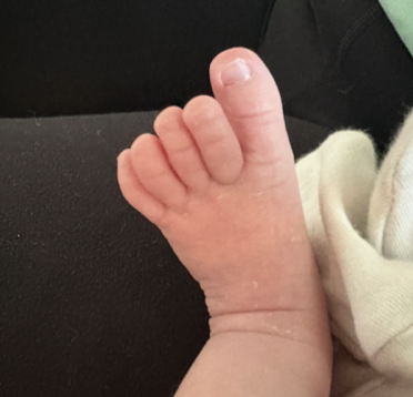 BowTiedBull.eth - Read Pinned or NGMI tweet media