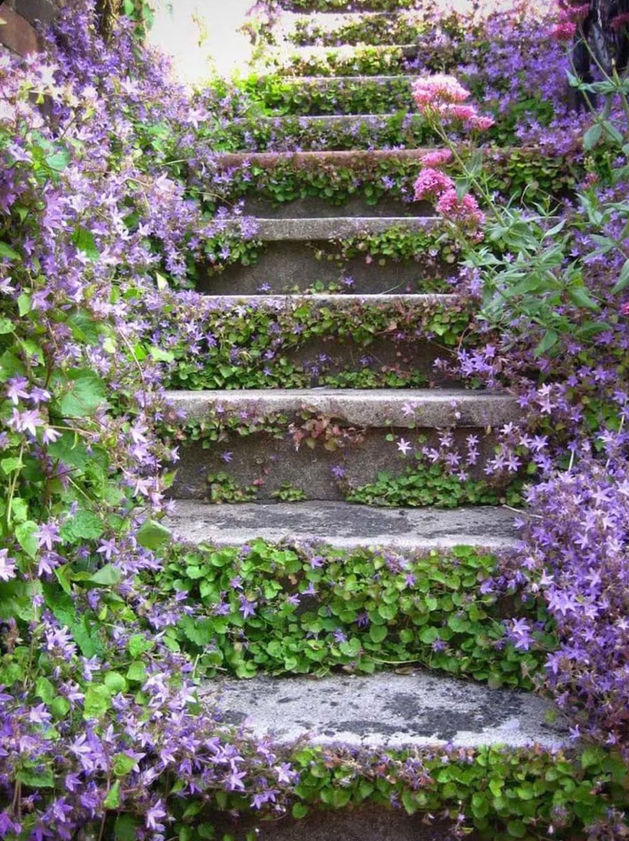 La vie est belle (@lavieestbelie) on Twitter photo 