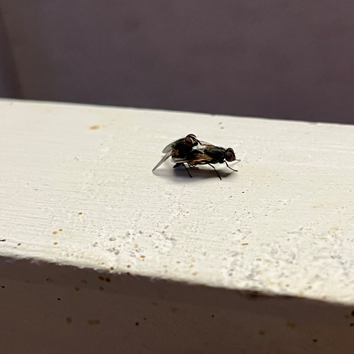 im having so much fun rn 🥲