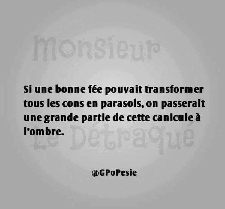 The Joconde 🐦 (@viedelajoconde) on Twitter photo 