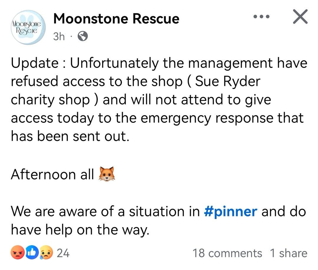 Hugh Brown tweet media