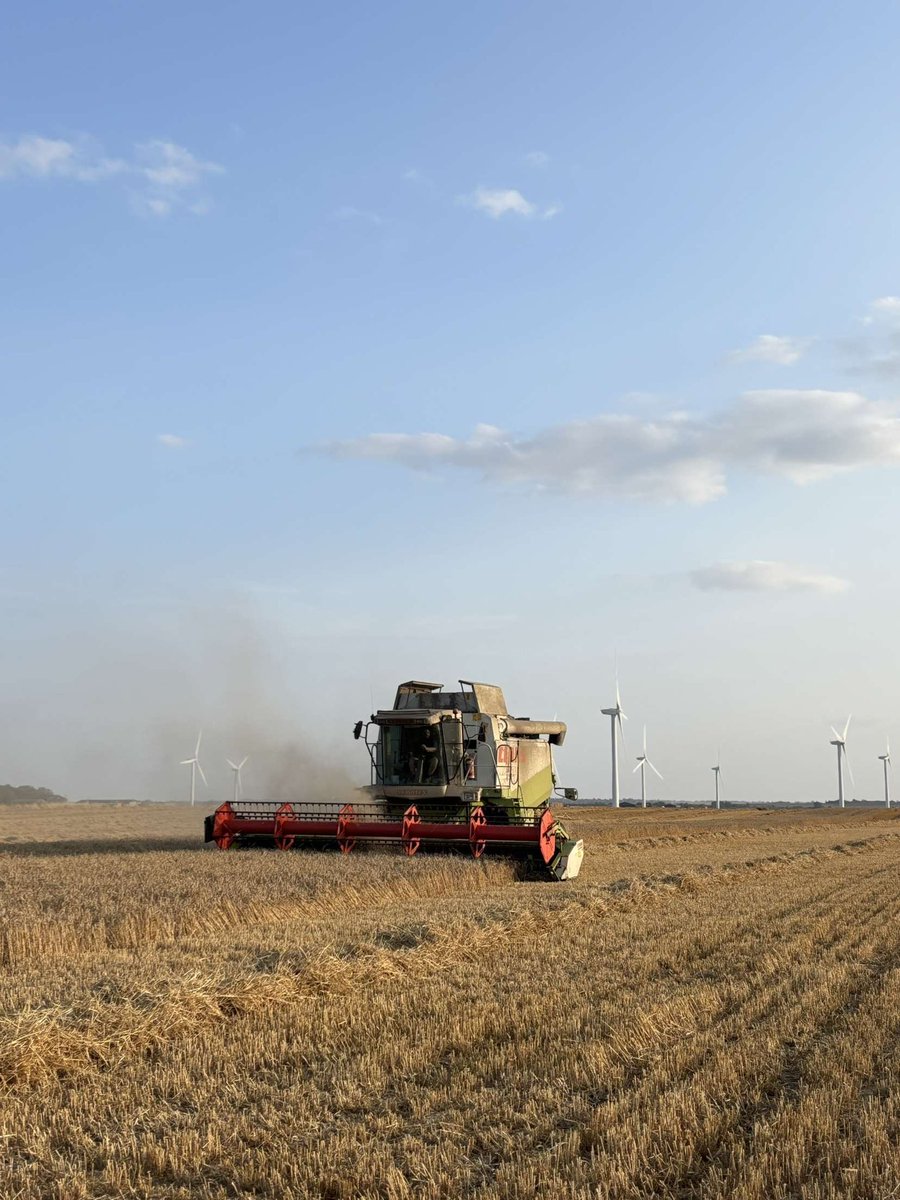 Another 50 acres down 50 left let’s hope <a href="/Cefetra/">Cefetra Grain</a> get some loads shifted as we’re full which means Sunday off , catch up on some sleep and time with the other half , very average day of very average wheat , gleam really not shone this year #harvest25