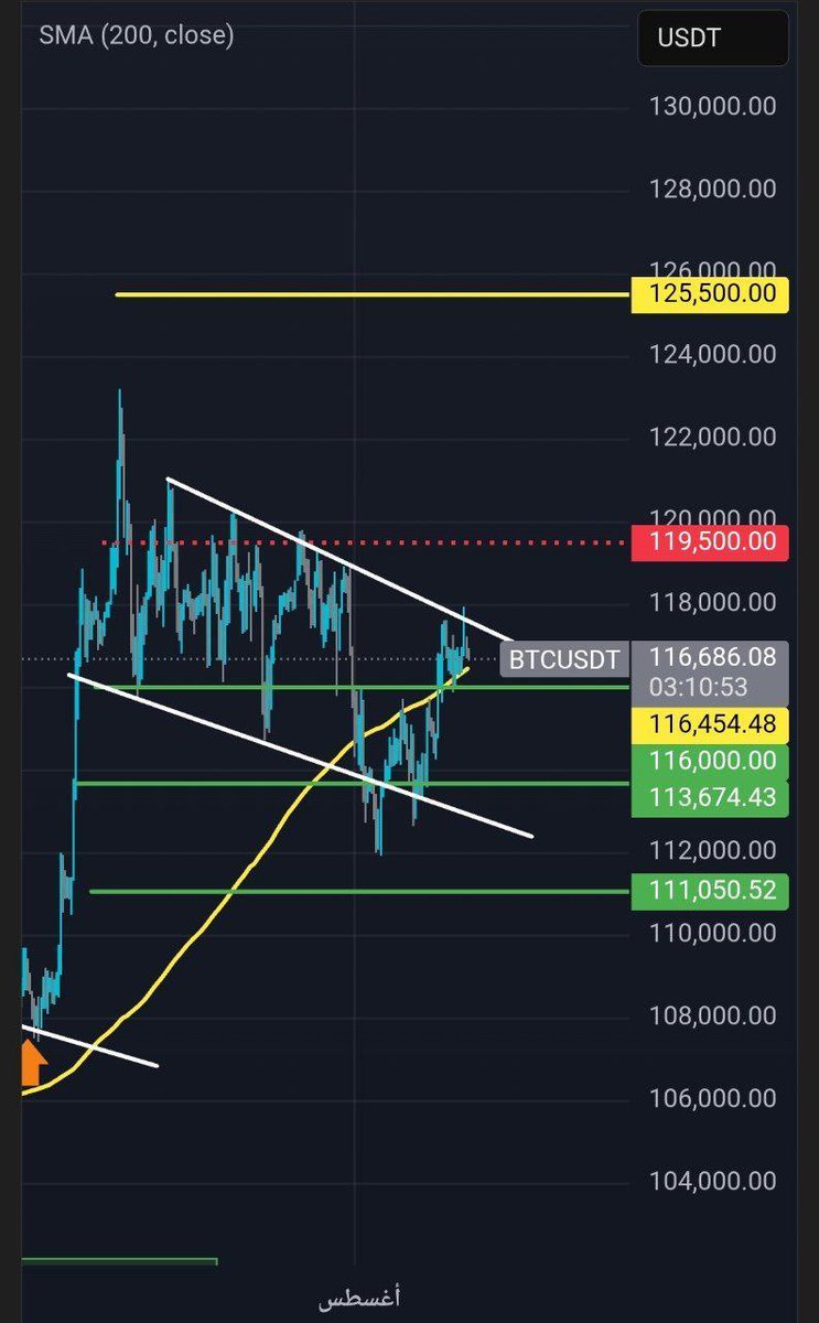 #BTC
يحاول السعر كسر قمة القناة عند 117,500$ باختراقها إن شاء الله سنتجه الي المقاومة الأهم عند 119,500$ 

إن شاء الله سيتم كسر مستوي 119,500$ قريبا لمواصلة الصعود وتحقيق قمة جديدة عند 125,500$ شرط المحافظة علي دعم Moving average 200 الموضح باللون الاصفر
#بيتكوين