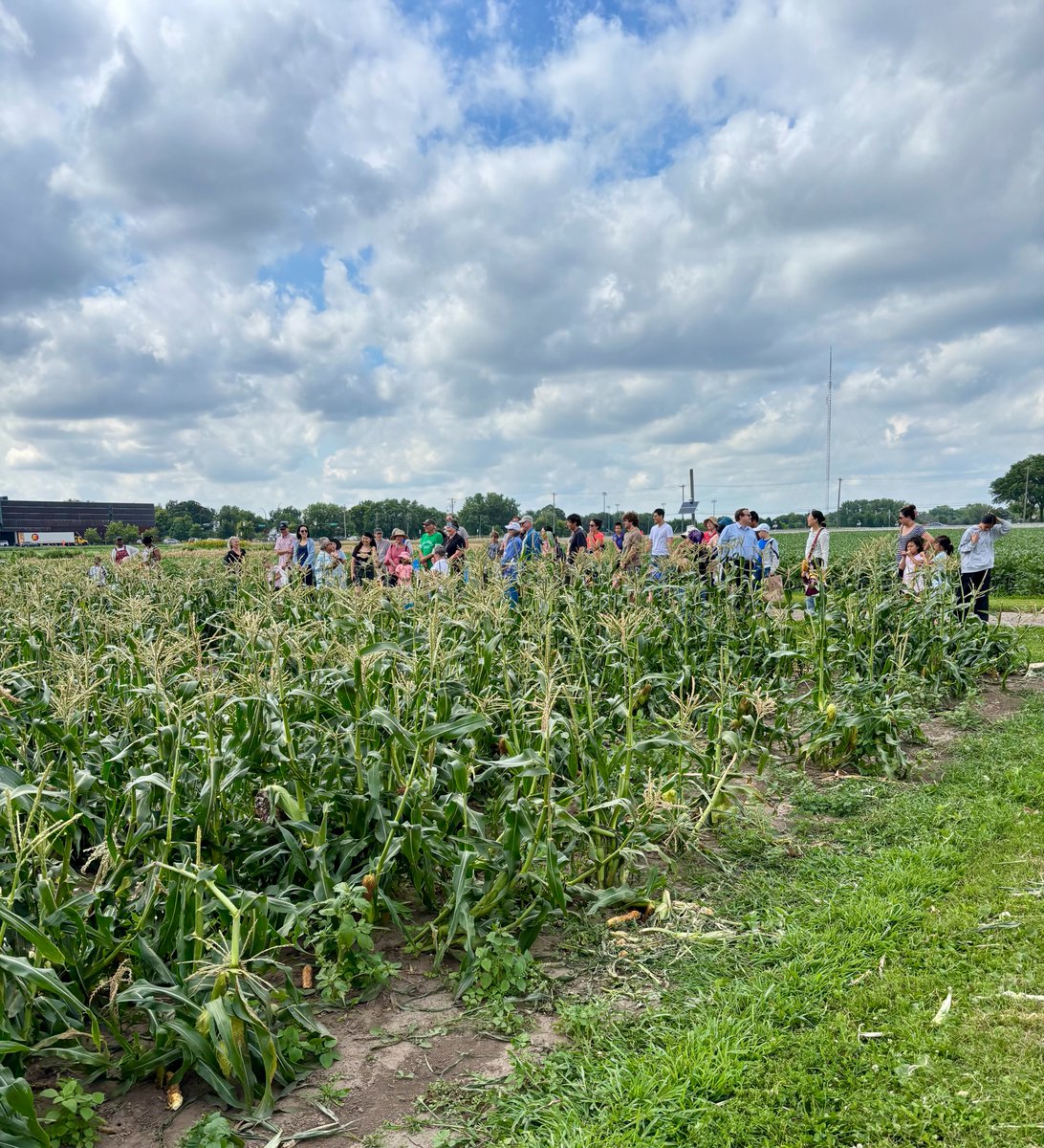 UMN Plant Breeding Center tweet media